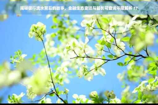 揭秘银行流水背后的故事，金融生态变迁与最长可查询年限解析 ??