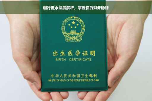 银行流水深度解析，掌握你的财务脉络