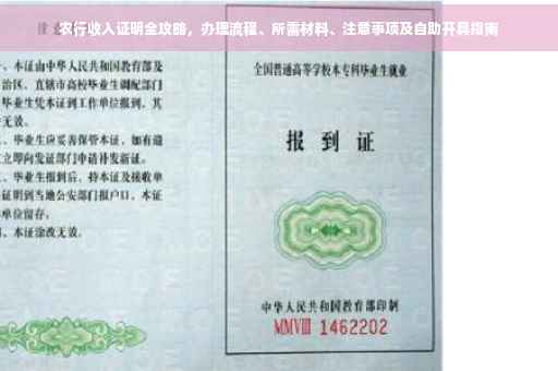 农行收入证明全攻略，办理流程、所需材料、注意事项及自助开具指南