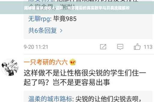 揭秘明星就业收入证明，光环背后的真实数字与开具流程解析