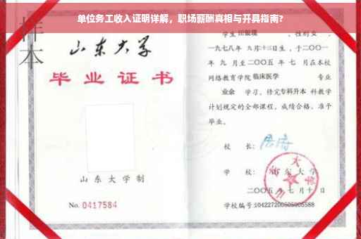 单位务工收入证明详解，职场薪酬真相与开具指南?