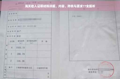 海关收入证明材料详解，内容、种类与要求??全解析