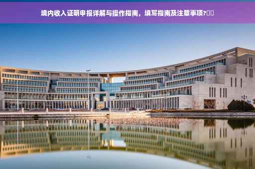 境内收入证明申报详解与操作指南，填写指南及注意事项?⚡️