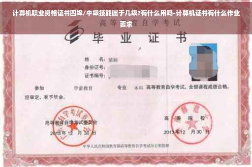 计算机职业资格证书四级/中级技能属于几级?有什么用吗-计算机证书有什么作业要求