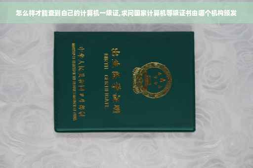 怎么样才能查到自己的计算机一级证,求问国家计算机等级证书由哪个机构颁发