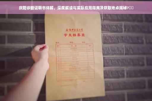 庆阳诊断证明书详解，深度解读与实际应用指南及获取地点揭秘?⚡️