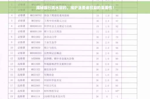 揭秘银行流水目的，维护消费者权益的重要性！