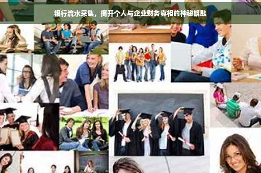 银行流水采集，揭开个人与企业财务真相的神秘钥匙