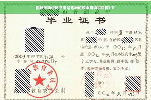 揭秘赞助证明书编号背后的故事与填写指南?⚡️