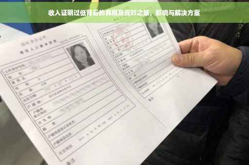 收入证明过低背后的真相及应对之策，影响与解决方案