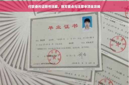 付款委托证明书详解，撰写要点与注意事项全攻略