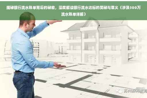 揭秘银行流水账单背后的秘密，深度解读银行流水达标的奥秘与意义（涉及300万流水账单详解）