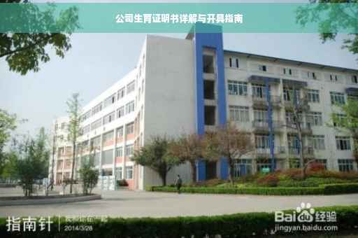 公司生育证明书详解与开具指南