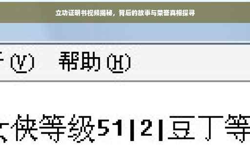 立功证明书视频揭秘，背后的故事与荣誉真相探寻
