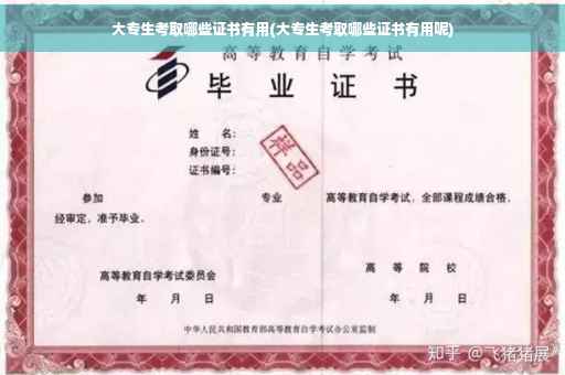 大专生考取哪些证书有用(大专生考取哪些证书有用呢)