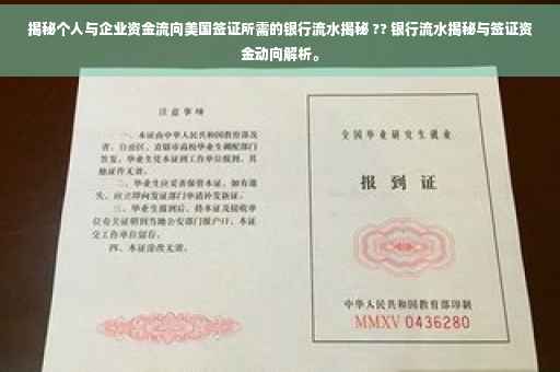 揭秘个人与企业资金流向美国签证所需的银行流水揭秘 ?? 银行流水揭秘与签证资金动向解析。