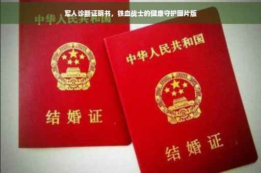 军人诊断证明书，铁血战士的健康守护图片版