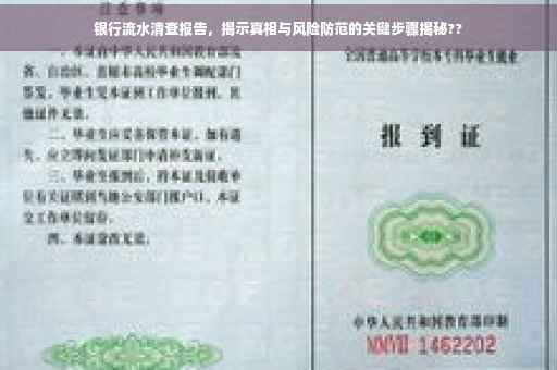 银行流水清查报告，揭示真相与风险防范的关键步骤揭秘??