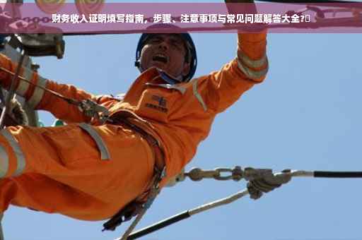 财务收入证明填写指南，步骤、注意事项与常见问题解答大全?✨