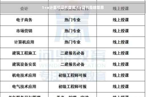 1+x计算机证书查询,1x证书是啥意思