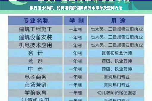 银行流水详解，如何准确解读网点流水账单及查询方法