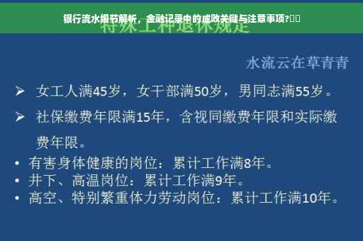 银行流水细节解析，金融记录中的成败关键与注意事项?⚡️