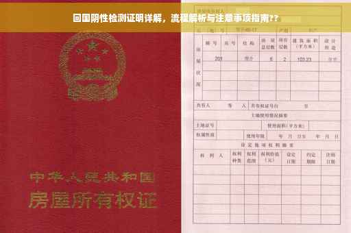 回国阴性检测证明详解，流程解析与注意事项指南??