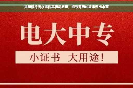 揭秘银行流水事件真相与启示，细节背后的故事浮出水面
