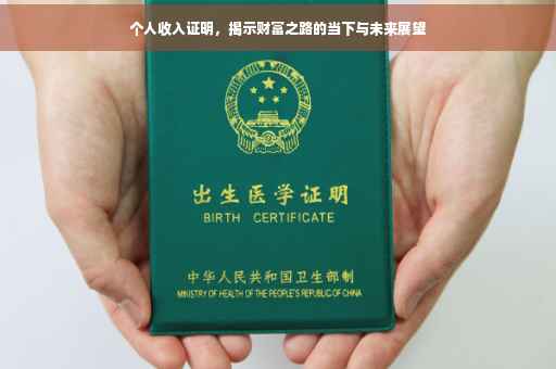 个人收入证明，揭示财富之路的当下与未来展望