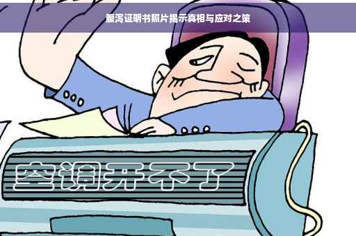 腹泻证明书照片揭示真相与应对之策