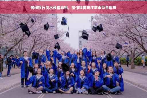 揭秘银行流水预借真相，操作指南与注意事项全解析