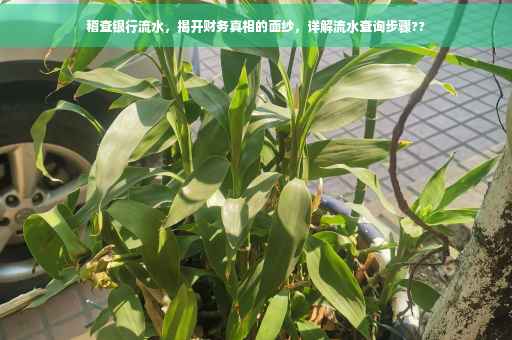 稽查银行流水，揭开财务真相的面纱，详解流水查询步骤??