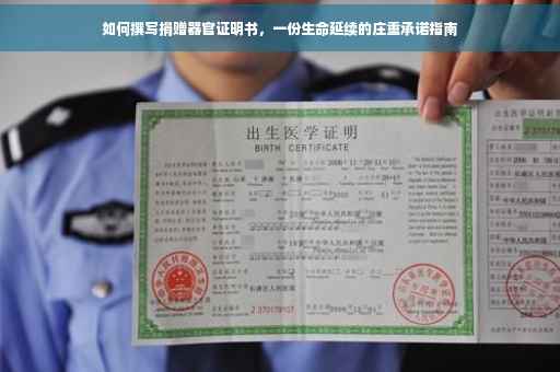 如何撰写捐赠器官证明书，一份生命延续的庄重承诺指南