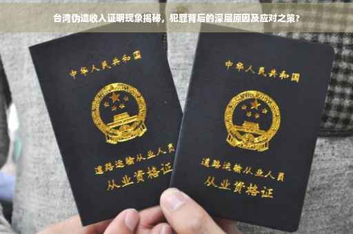 台湾伪造收入证明现象揭秘，犯罪背后的深层原因及应对之策?