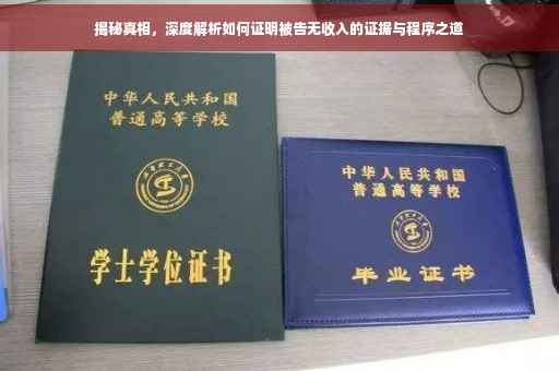 揭秘真相，深度解析如何证明被告无收入的证据与程序之道