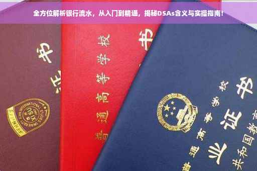 全方位解析银行流水，从入门到精通，揭秘DSAs含义与实操指南！