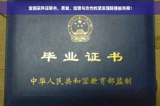 宝钢采购证明书，质量、信誉与合作的坚实保障模板亮相！