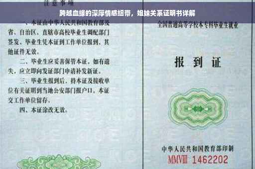 跨越血缘的深厚情感纽带，姐妹关系证明书详解
