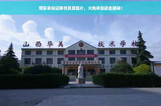 荒田承包证明书及其图片，火热承包动态揭秘！