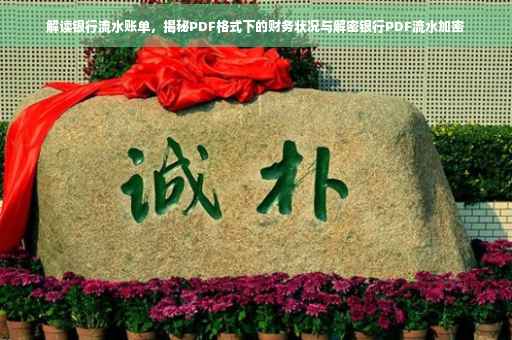解读银行流水账单，揭秘PDF格式下的财务状况与解密银行PDF流水加密