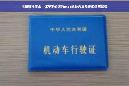 揭秘银行流水，你所不知道的mac地址含义及更多细节解读