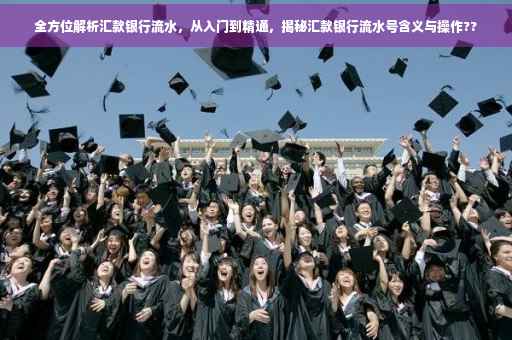 全方位解析汇款银行流水，从入门到精通，揭秘汇款银行流水号含义与操作??