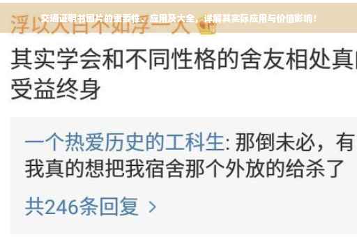 交通证明书图片的重要性、应用及大全，详解其实际应用与价值影响！