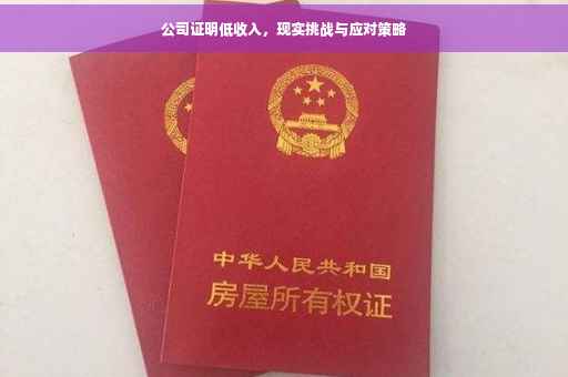 公司证明低收入，现实挑战与应对策略