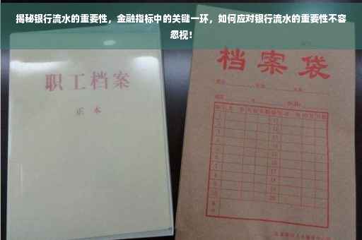 揭秘银行流水的重要性，金融指标中的关键一环，如何应对银行流水的重要性不容忽视！