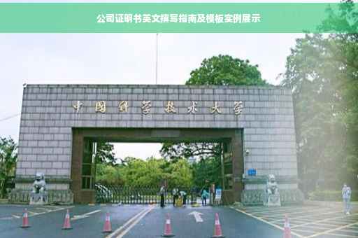 公司证明书英文撰写指南及模板实例展示