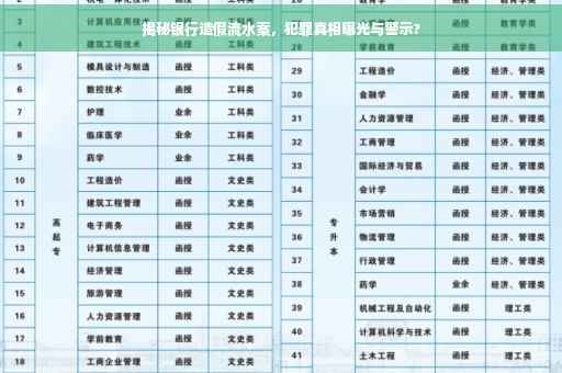 揭秘银行造假流水案，犯罪真相曝光与警示?