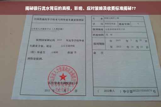 揭秘银行流水背后的真相，影响、应对策略及收费标准揭秘??