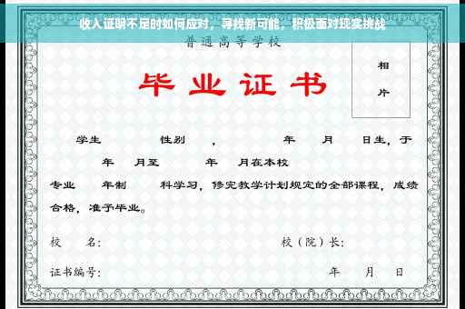 收入证明不足时如何应对，寻找新可能，积极面对现实挑战