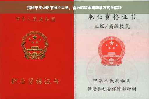 揭秘中奖证明书图片大全，背后的故事与获取方式全解析